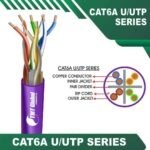 cat6a-VIOILET
