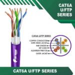 cat6a-VOILET