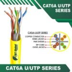 cat6a-YELLOW