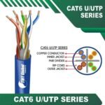 cat6-BLUE